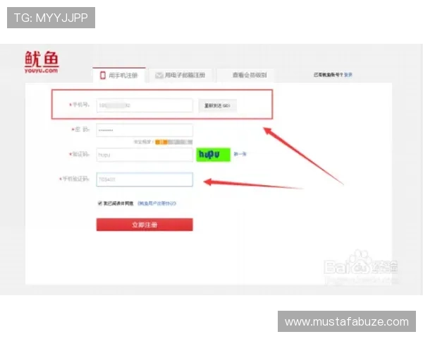 博鱼真人平台会员登录不上去如何快速恢复账户登录权限详尽攻略